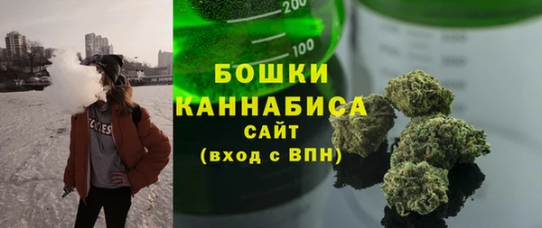 ECSTASY Инсар