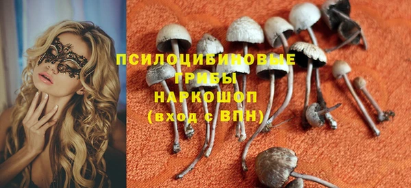 ECSTASY Инсар