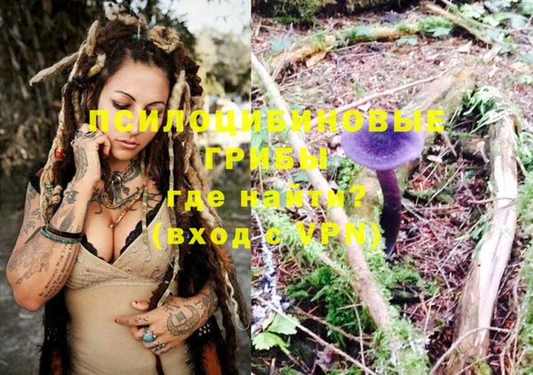 ECSTASY Инсар