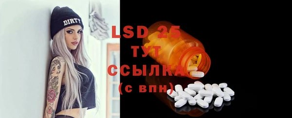 ECSTASY Инсар