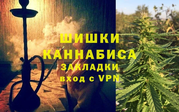 ECSTASY Инсар
