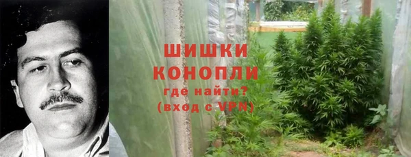 ECSTASY Инсар