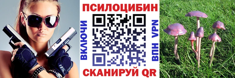 Галлюциногенные грибы ЛСД  Купить закладки  Ельня 
