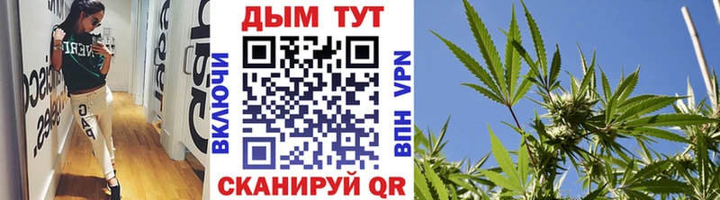 Марихуана сатива  Купить закладки  Ельня 